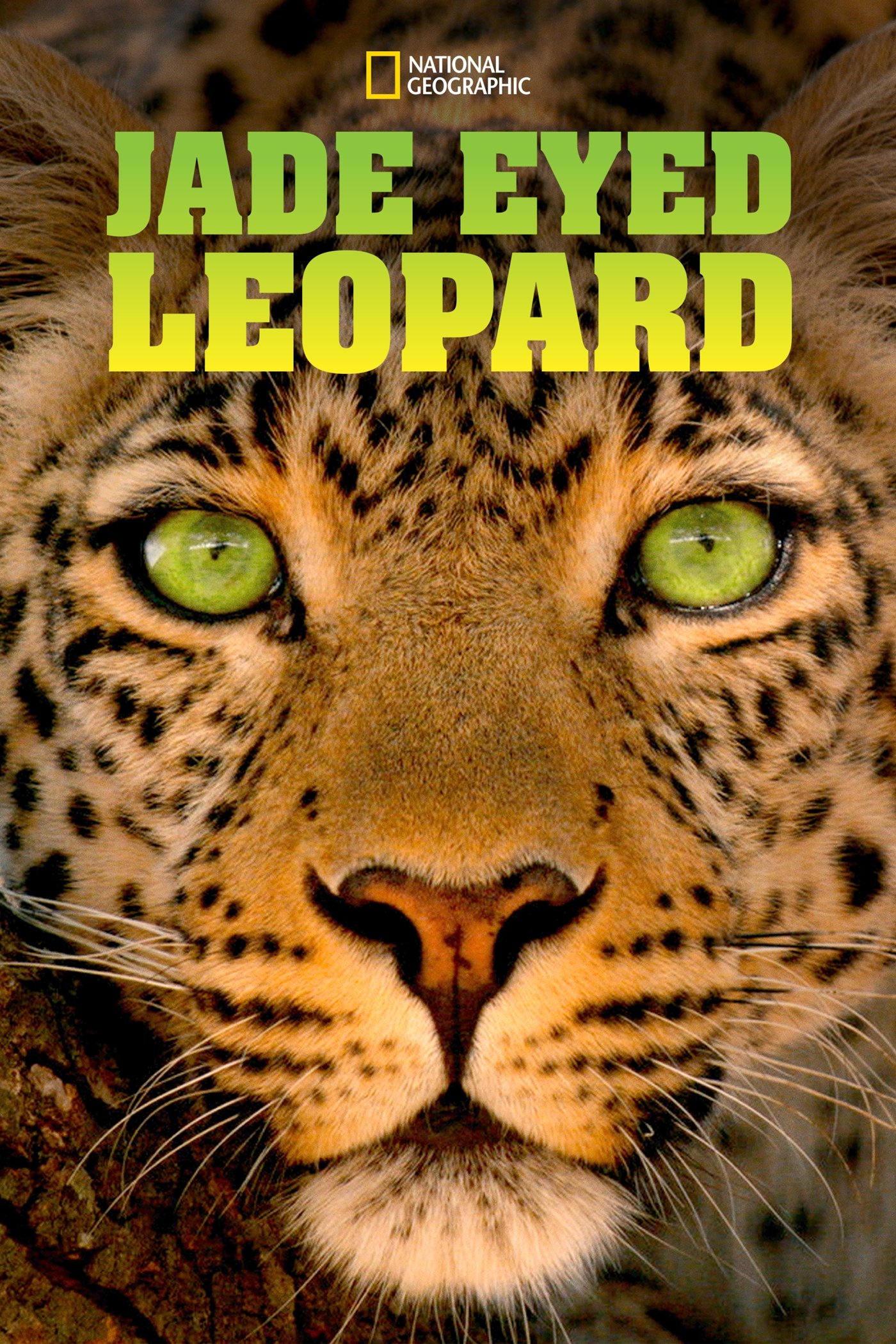 Постер Jade Eyed Leopard